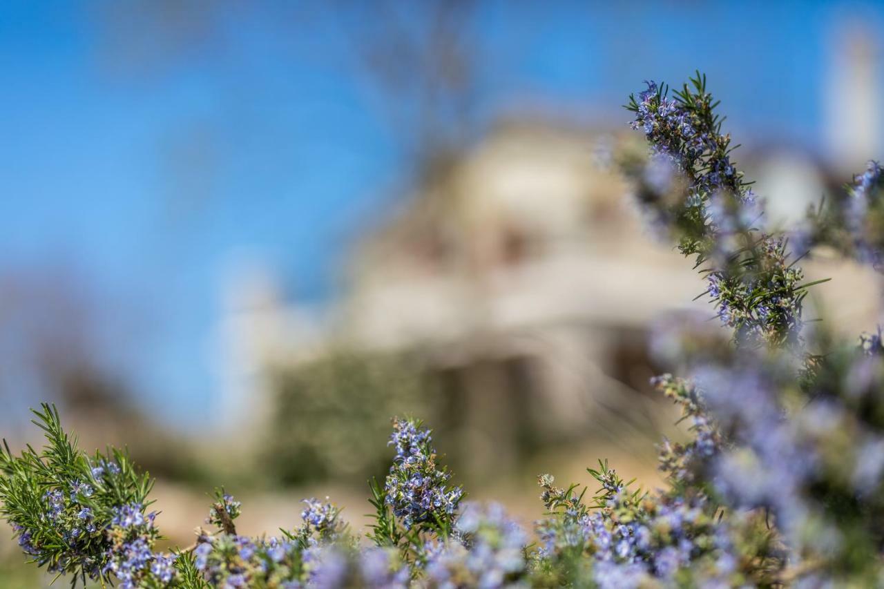 Villa Korina Pinezići Extérieur photo